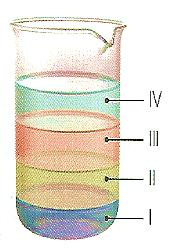 Dados: m = 750 g; r = 11,8 g/cm 3 Resposta: O volume ocupado pela coroa é 63,6 cm 3. 3. Colocaram-se vários líquidos imiscíveis num mesmo copo de vidro, como mostra a figura.
