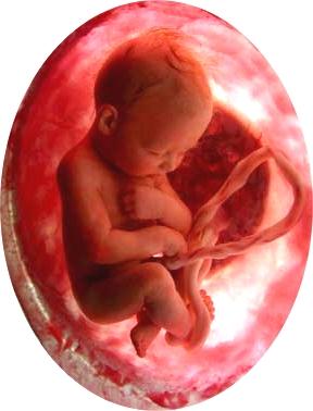 COEFICIENTE DE NATIMORTALIDADE (CN) Mede as perdas fetais que ocorrem a partir da 28ª semana de gestação, ou em que o
