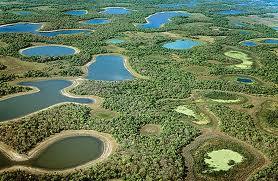 O bioma Pantanal cobre 25% de Mato Grosso do Sul e 7% de Mato Grosso e seus limites coincidem