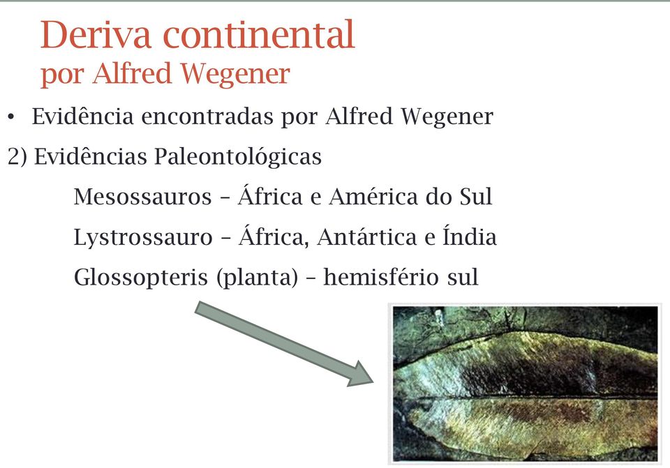 Paleontológicas Mesossauros África e América do Sul