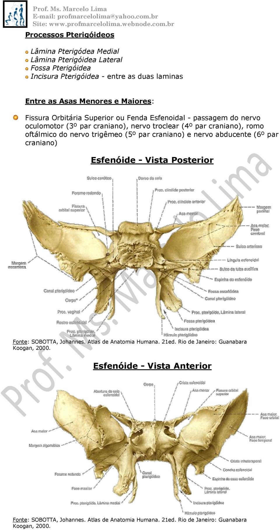Esfenoidal - passagem do nervo oculomotor (3º par craniano), nervo troclear (4º par craniano), romo oftálmico