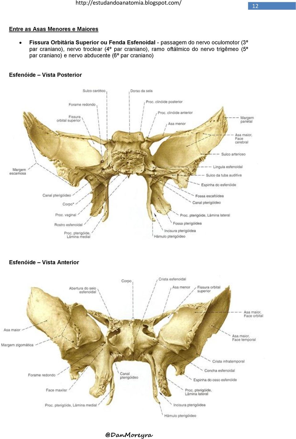 (4º par craniano), ramo oftálmico do nervo trigêmeo (5º par craniano) e