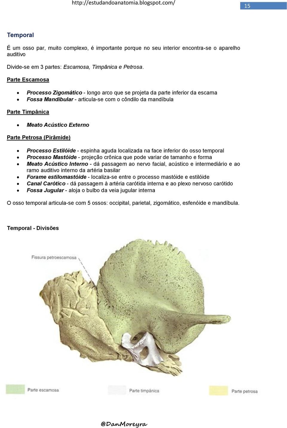 Petrosa (Pirâmide) Processo Estilóide - espinha aguda localizada na face inferior do osso temporal Processo Mastóide - projeção crônica que pode variar de tamanho e forma Meato Acústico Interno - dá