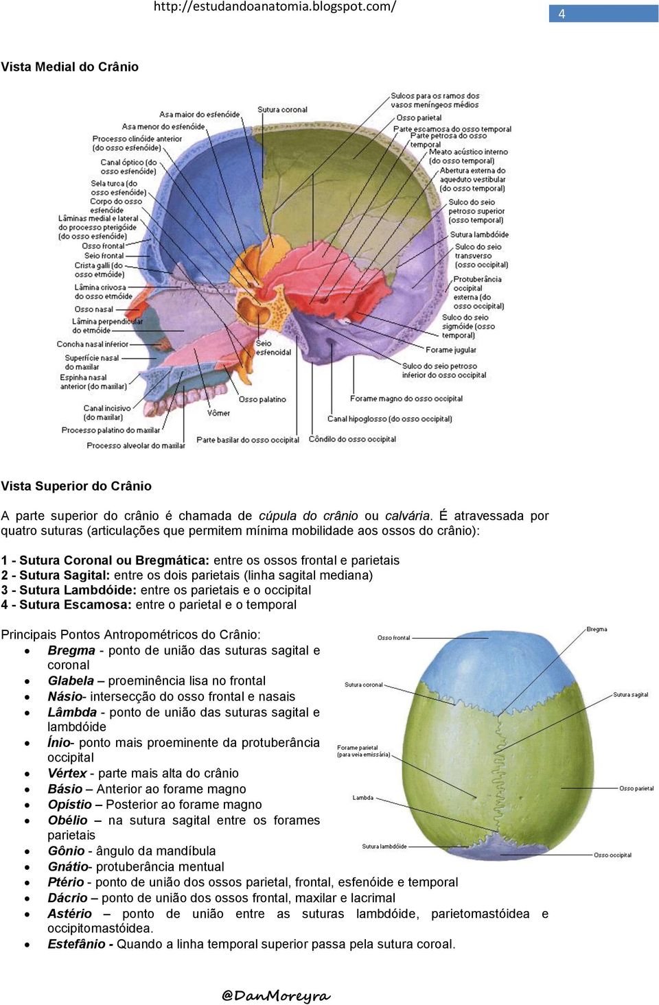 dois parietais (linha sagital mediana) 3 - Sutura Lambdóide: entre os parietais e o occipital 4 - Sutura Escamosa: entre o parietal e o temporal Principais Pontos Antropométricos do Crânio: Bregma -