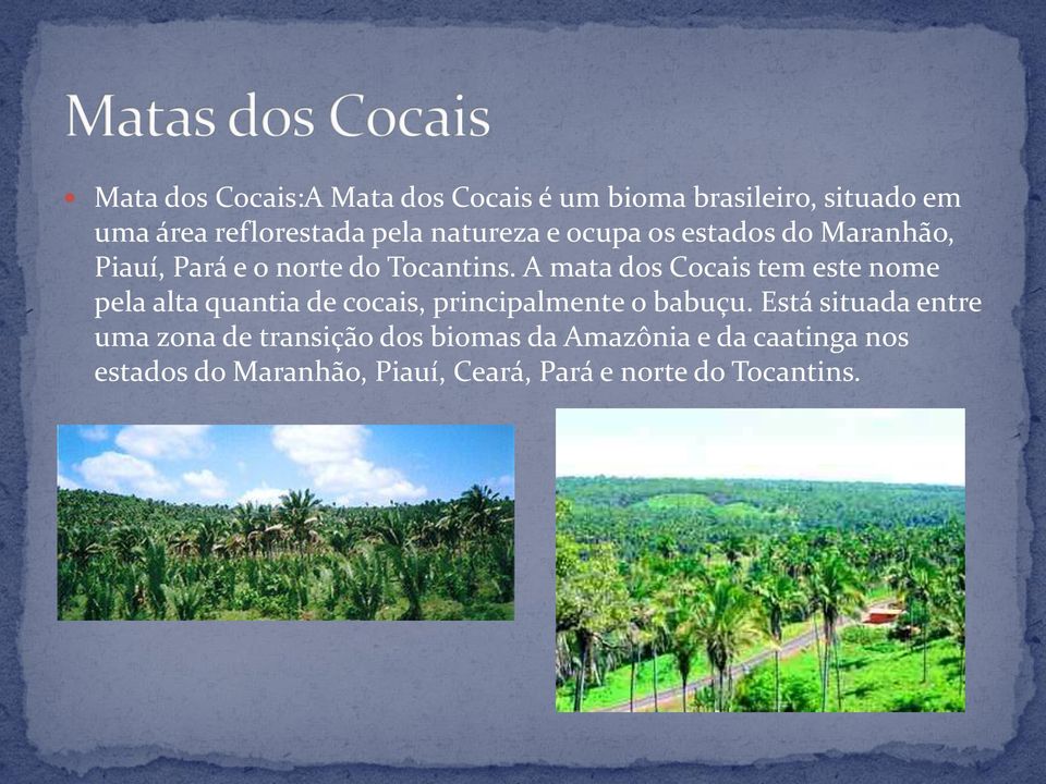A mata dos Cocais tem este nome pela alta quantia de cocais, principalmente o babuçu.