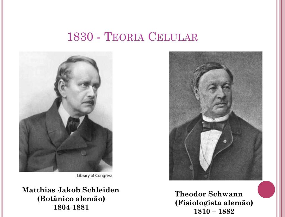 alemão) 1804-1881 Theodor