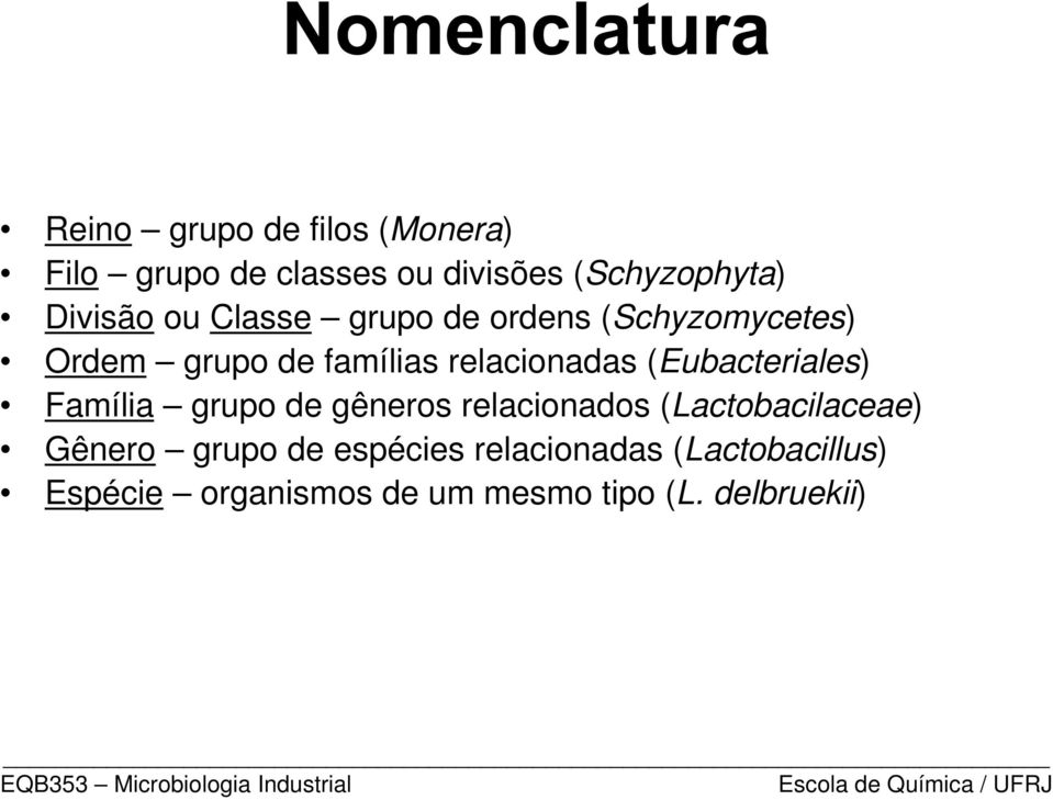(Eubacteriales) Família grupo de gêneros relacionados (Lactobacilaceae) Gênero grupo