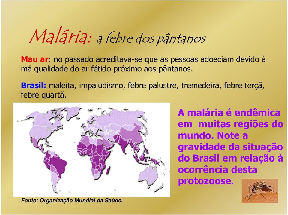 Brasil: maleita, impaludismo, febre palustre, tremedeira, febre terçã, febre quartã.