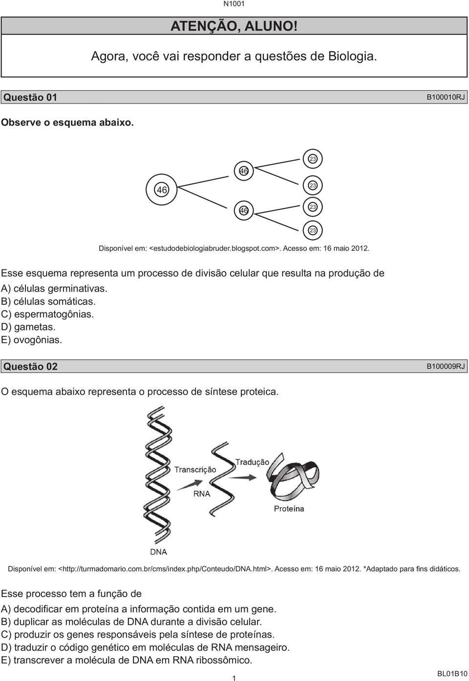 Questão 02 B100009RJ O esquema abaixo representa o processo de síntese proteica. Disponível em: <http://turmadomario.com.br/cms/index.php/conteudo/dna.html>. Acesso em: 16 maio 2012.