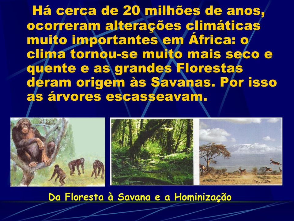 e quente e as grandes Florestas deram origem às Savanas.
