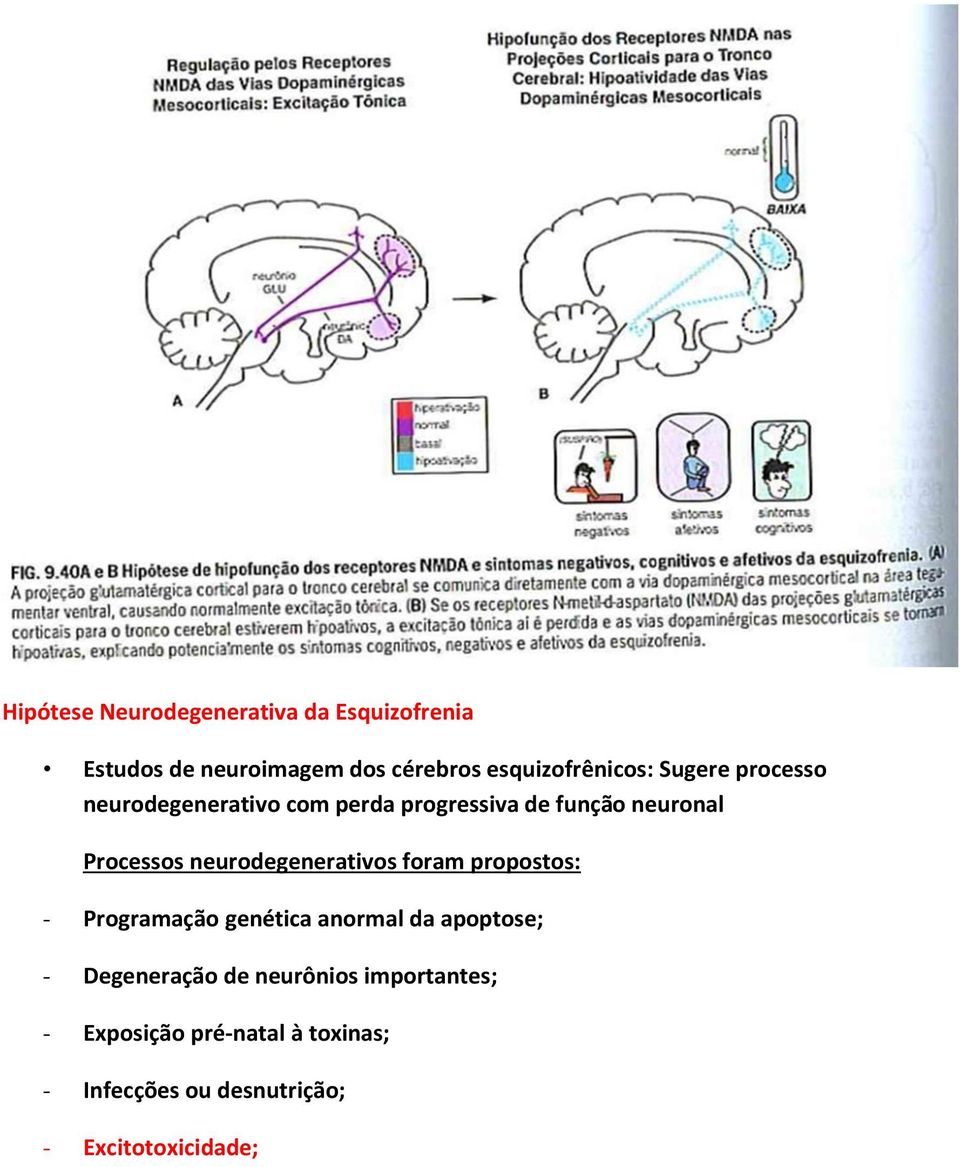 Processos neurodegenerativos foram propostos: - Programação genética anormal da apoptose; -