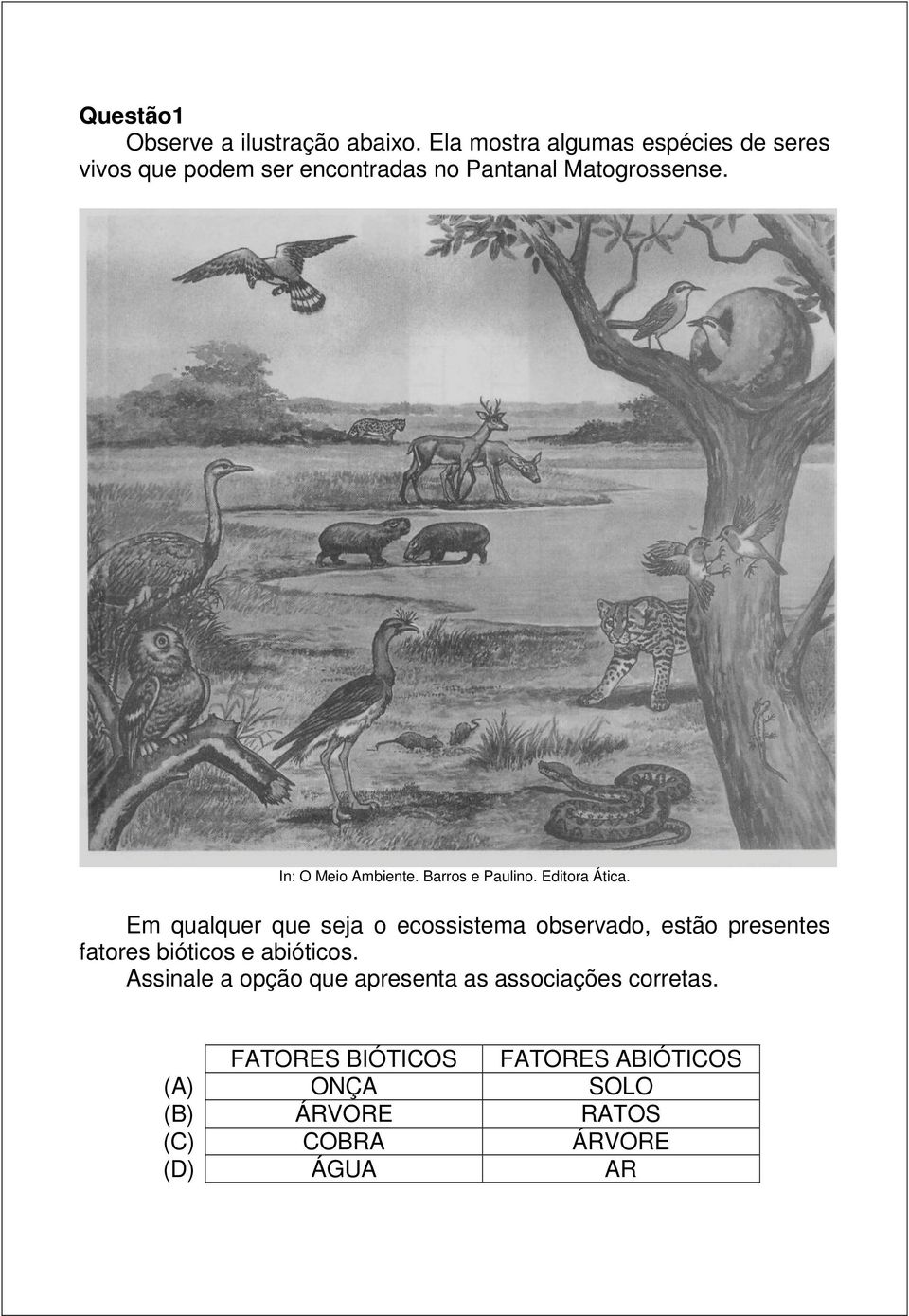 In: O Meio Ambiente. Barros e Paulino. Editora Ática.