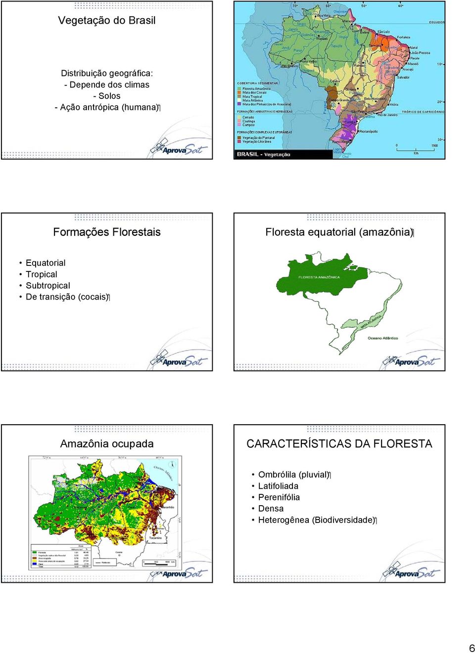 Tropical Subtropical ( cocais ) De transição Amazônia ocupada CARACTERÍSTICAS DA