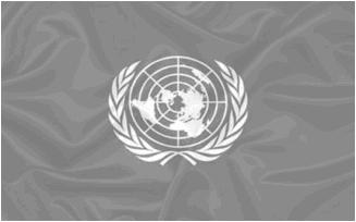 17) Observe a imagem a seguir e faça o que se pede: Bandeira da Organização das Nações Unidas (ONU) A bandeira da ONU (1947), nas cores azul e branco, simboliza a união dos povos do mundo através dos