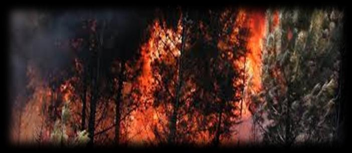 Também temos 3 tipos de incêndios que são os incêndios aéreos ou seja incêndios de copa que arde só a copa das árvores depois temos os mistos que arde a copa das árvores e todo o terreno, também