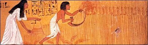 A pesca, a coleta e a pecuária eram muito importantes para a economia egípcia.