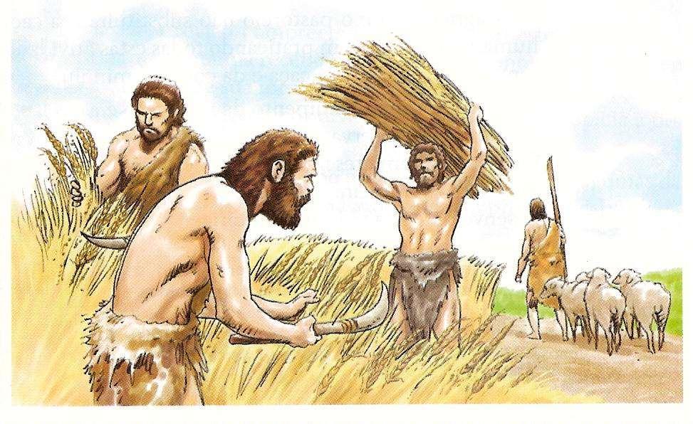 -Revolução Neolítica : A prática da agricultura e a do pastoreio foram importantes conquistas do homem neolítico.