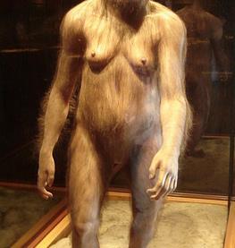 AUSTRALOPITHECUS Primeiros hominídeos Vivia na África (sul do Saara)