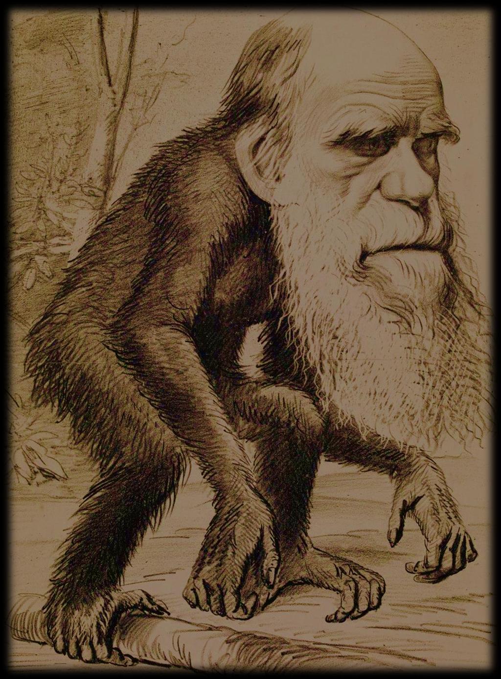 EVOLUCIONISMO Corrente científica que ganha força na segunda metade do século XIX com as teses de Alfred Russel Wallace e Charles