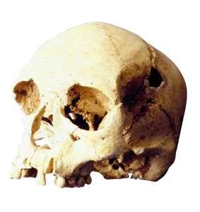 O crânio de Luzia, encontrado em Lagoa