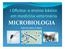 MICROBIOLOGIA. Profa. Dra. Paula A. S. Bastos