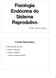 Fisiologia Endócrina do Sistema Reprodutivo