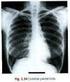 Radiologia médica - Anatomia I. Total de 7 páginas 1
