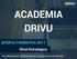 ACADEMIA DRIVU. OFERTA FORMATIVA 2017 Nível Estratégico. Transformamos condutores em motoristas profissionais