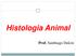 Histologia Animal. Prof. Santhiago Dalcin