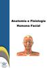 Anatomia e Fisiologia Humana Facial