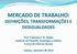 MERCADO DE TRABALHO: DEFINIÇÕES, TRANSFORMAÇÕES E DESIGUALDADES