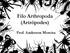 Filo Arthropoda (Artrópodes) Prof. Anderson Moreira