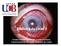 Biofísica da visão II. Ondas eletromagnéticas, o olho humano, Funcionamento da visão, Defeitos da visão.