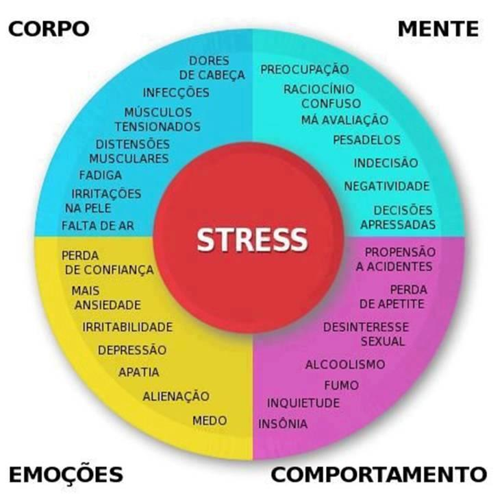Fases do Stress STRESS POSITIVO ( EUSTRESSE) É o stress em sua fase inicial, a do alerta O organismo produz adrenalina que dá ânimo, vigor e energia, fazendo a pessoa produzir mais e ser mais